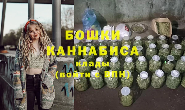 гидра Абаза