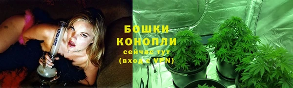 PSILOCYBIN Абдулино