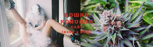 PSILOCYBIN Абдулино