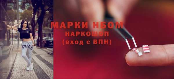 гидра Абаза