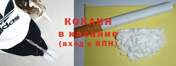 гидра Абаза