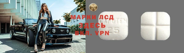стафф Абинск
