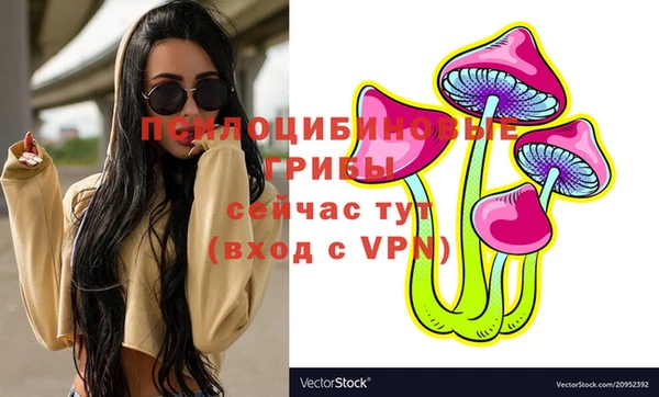 гидра Абаза